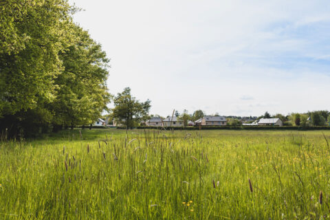 Environnement-Onet