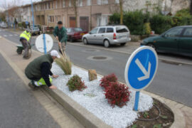 Gestion des espaces verts