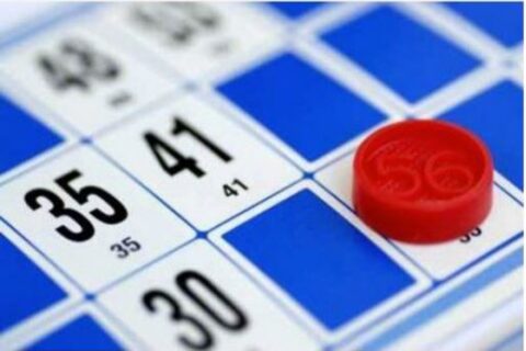 Quine loto
