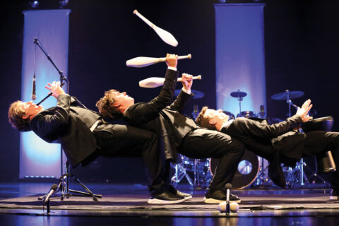 DRUM Brother par les Frères Colle La Baleine