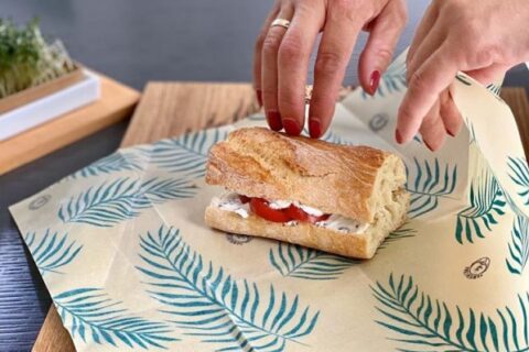 atelier Krill